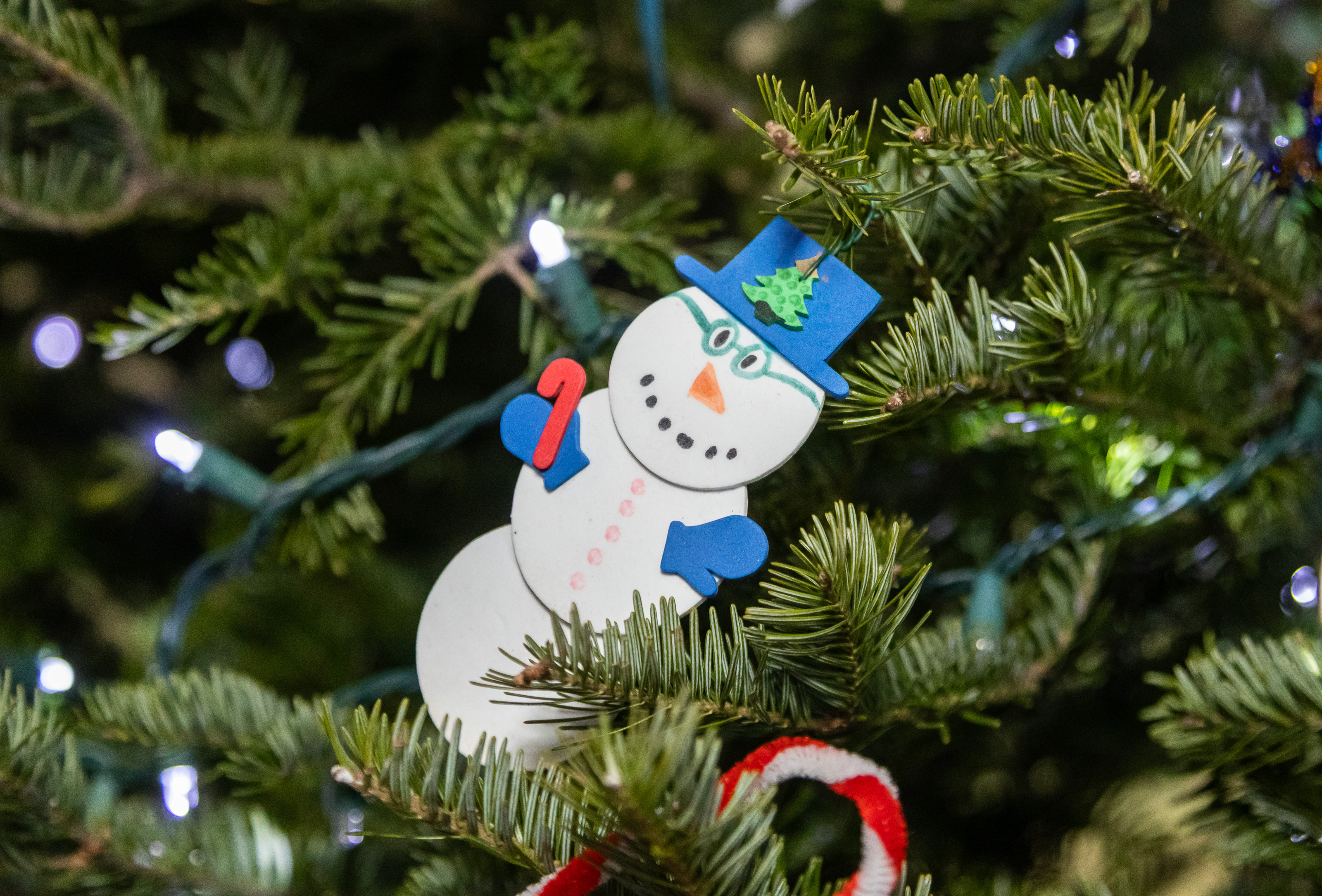 Tree-Lighting-229.jpg
